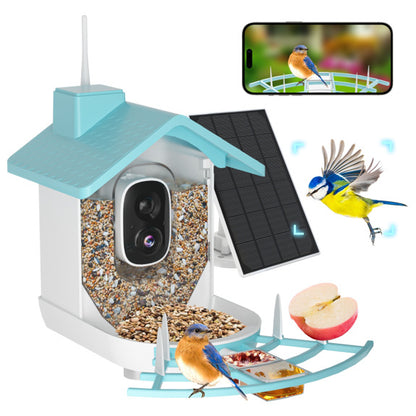 bird feeder camera