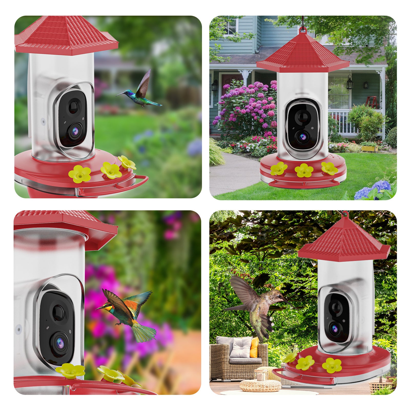 bird feeder camera