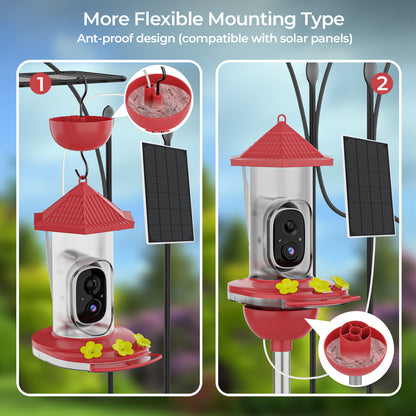 bird feeder camera