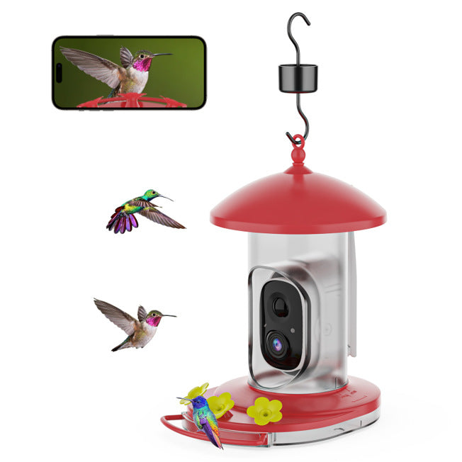bird feeder camera