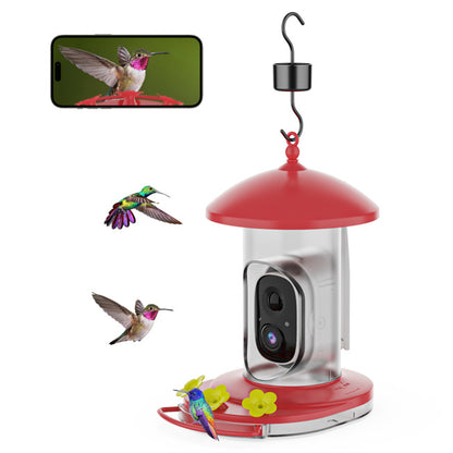 bird feeder camera
