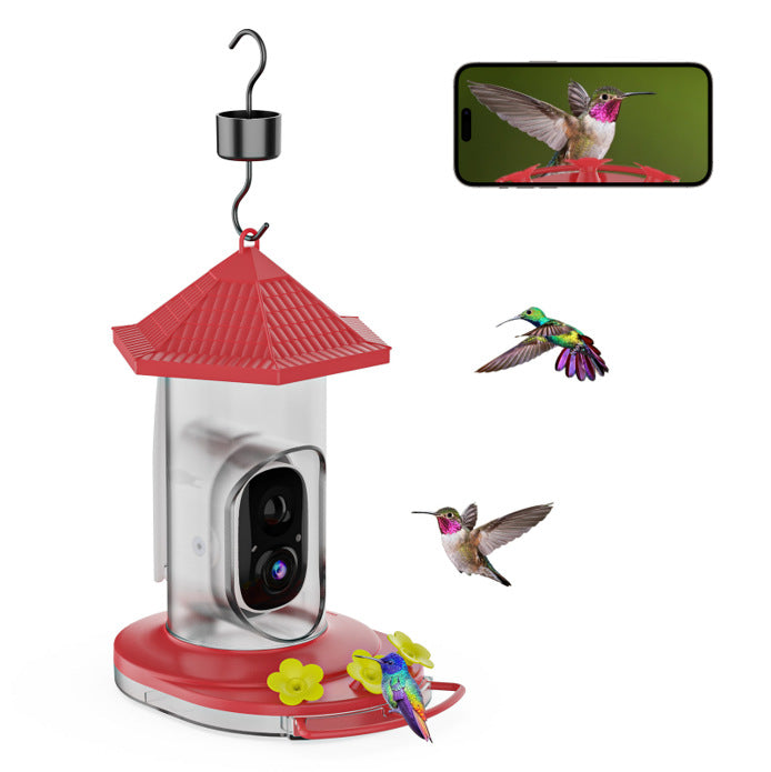 bird feeder camera