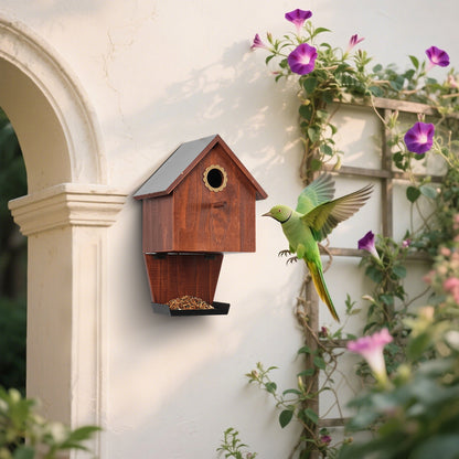 Bird feeder