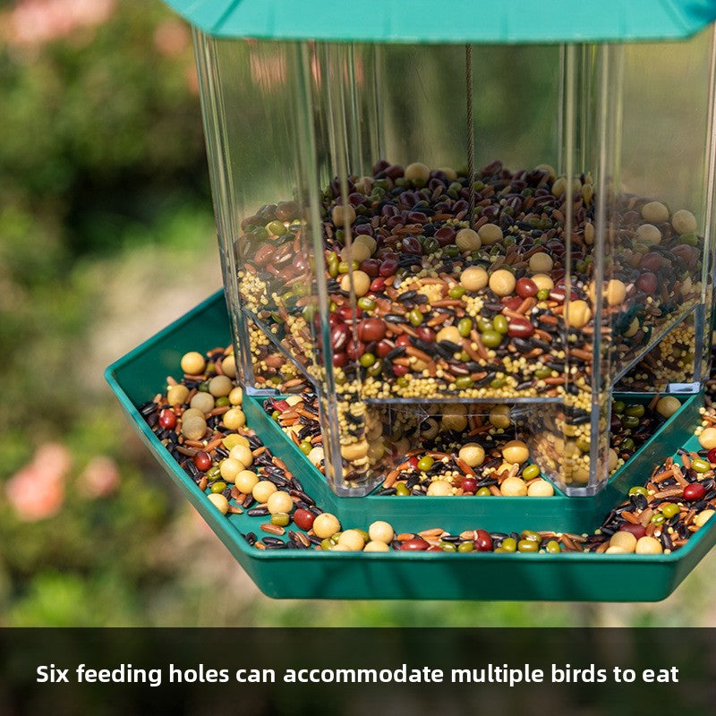 bird feeder