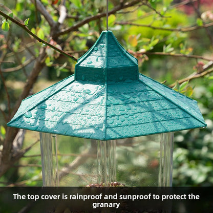 bird feeder