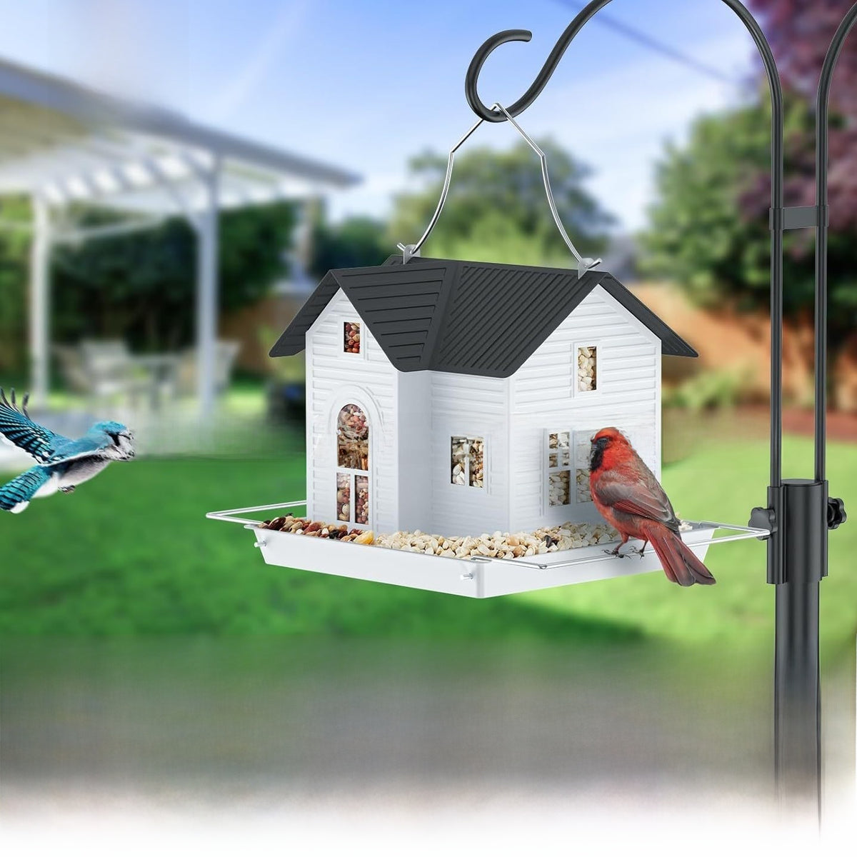 Bird Feeder