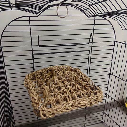 Bird Toy