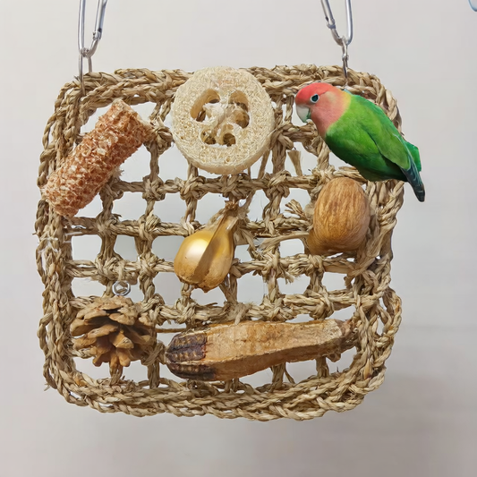 Bird Toy