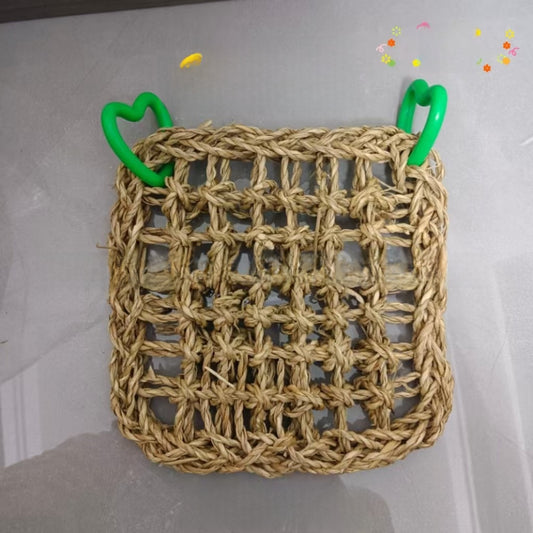 Bird Toy