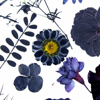 Black Dried Flowers DIY Craft Materials