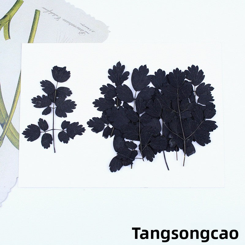 Black Dried Flowers DIY Craft Materials