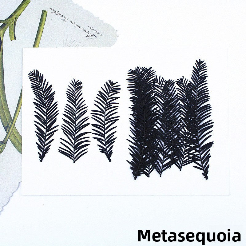 Black Dried Flowers DIY Craft Materials