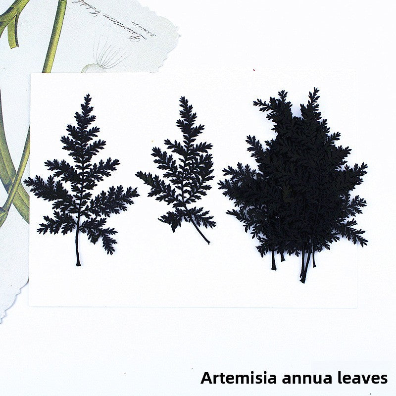 Black Dried Flowers DIY Craft Materials