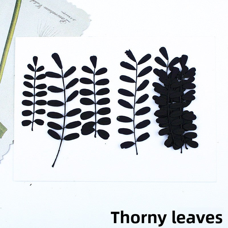 Black Dried Flowers DIY Craft Materials
