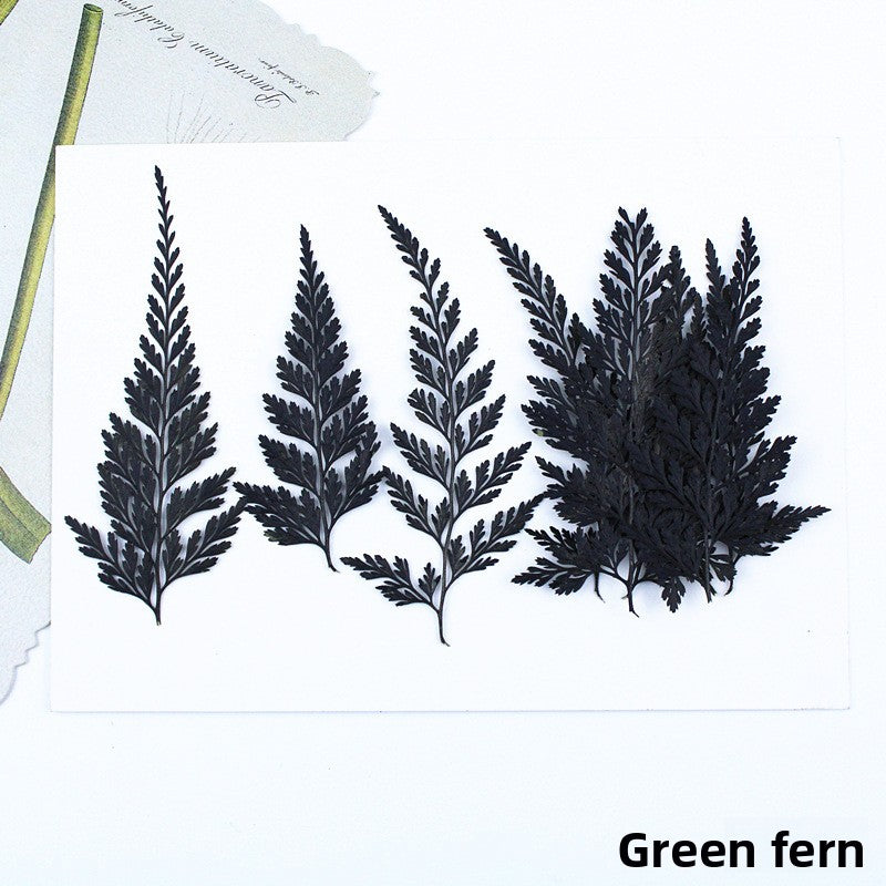 Black Dried Flowers DIY Craft Materials