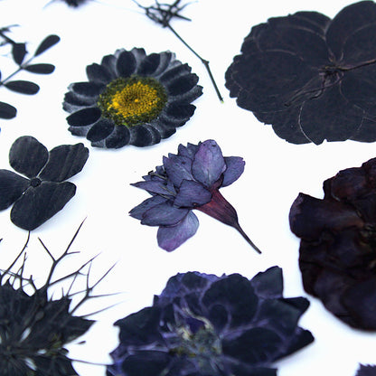 Black Dried Flowers DIY Craft Materials