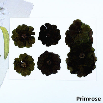 Black Dried Flowers DIY Craft Materials