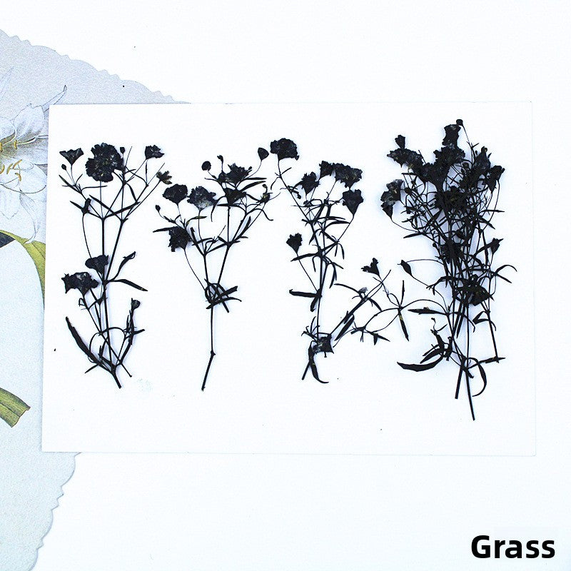 Black Dried Flowers DIY Craft Materials