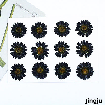 Black Dried Flowers DIY Craft Materials