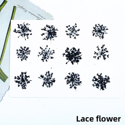 Black Dried Flowers DIY Craft Materials