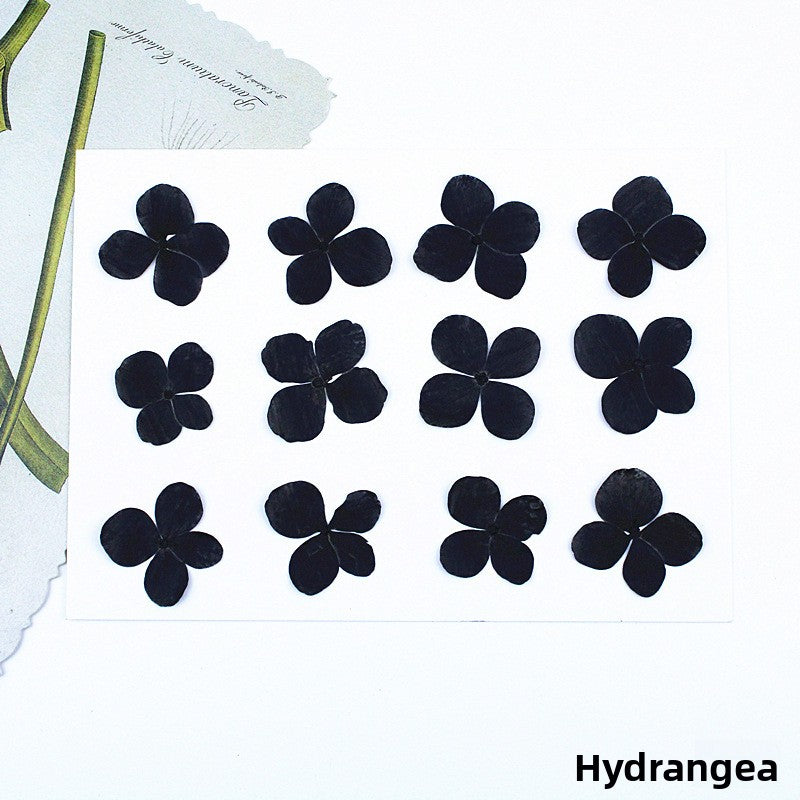 Black Dried Flowers DIY Craft Materials