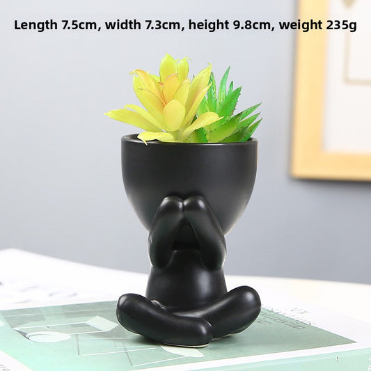 Black lazy person's small potted plant
