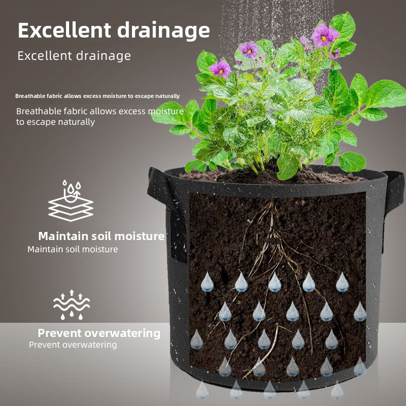 Black Non-Woven Grow Bags