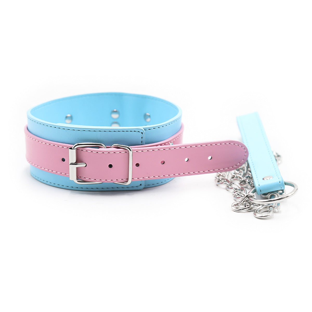 Blue collar with pink leash