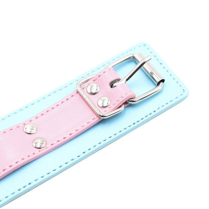 Blue collar with pink leash