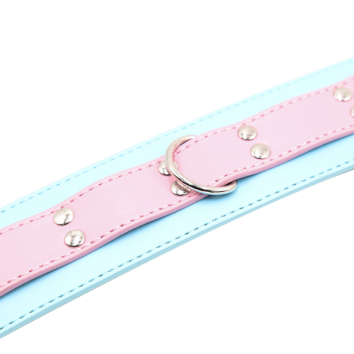 Blue collar with pink leash