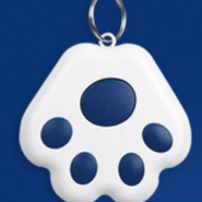 Bluetooth Anti-Loss Locator Keychain