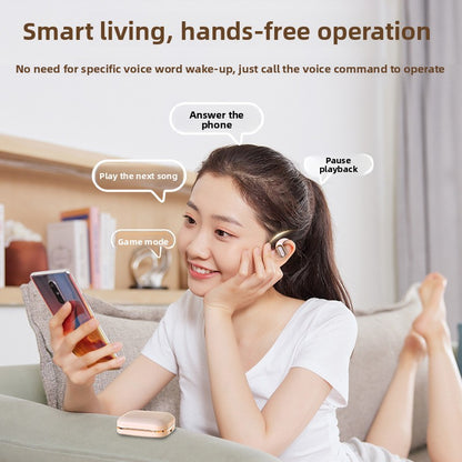 Bluetooth Earphones