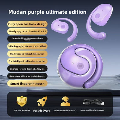 Bluetooth earphones
