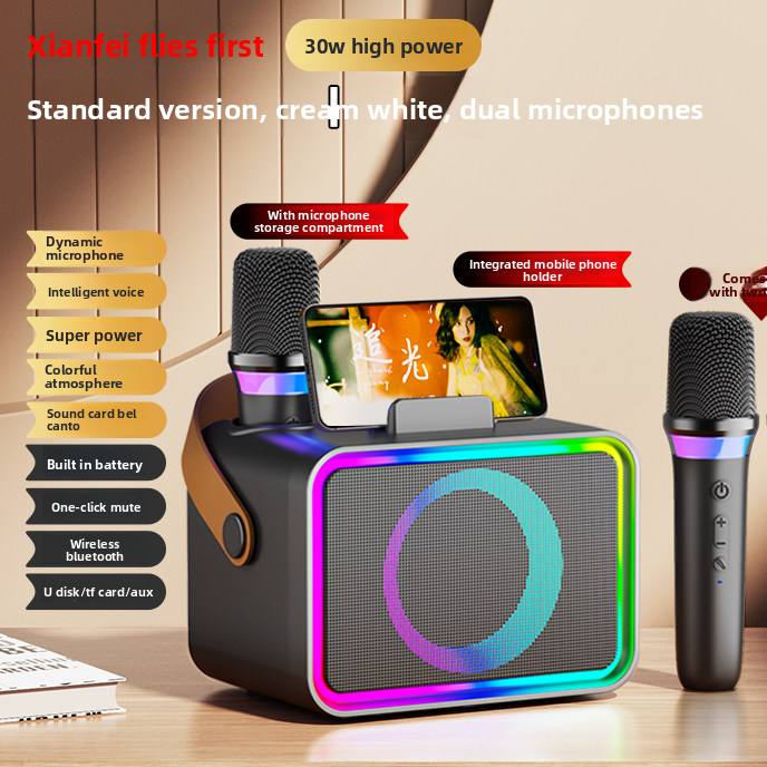 Bluetooth Karaoke Speaker