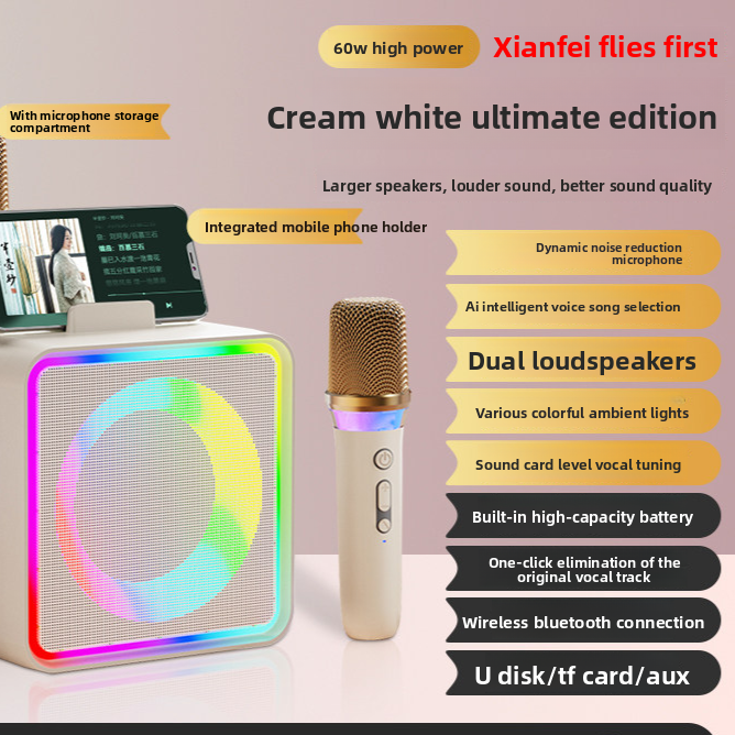 Bluetooth Karaoke Speaker