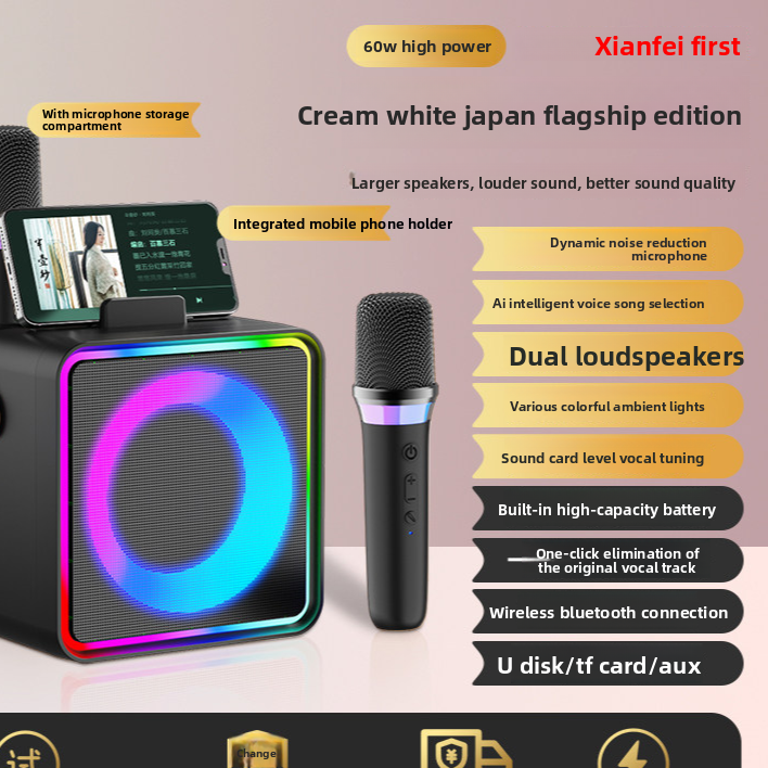 Bluetooth Karaoke Speaker