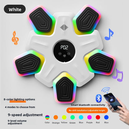 Bluetooth LED Music Boxing Target with Rechargeable Battery