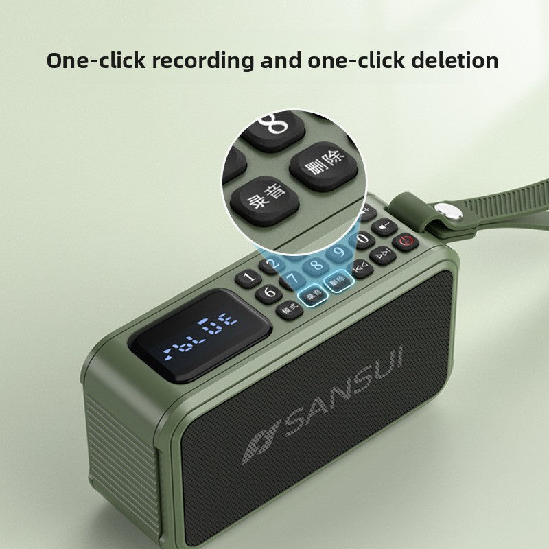 Bluetooth portable audio