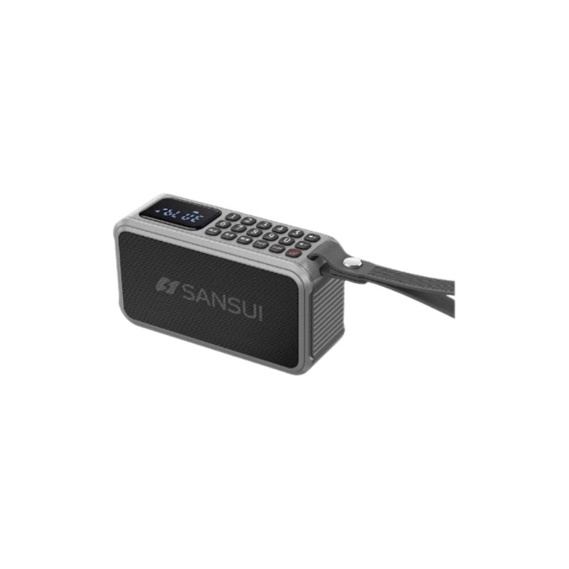 Bluetooth portable audio