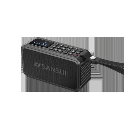 Bluetooth portable audio