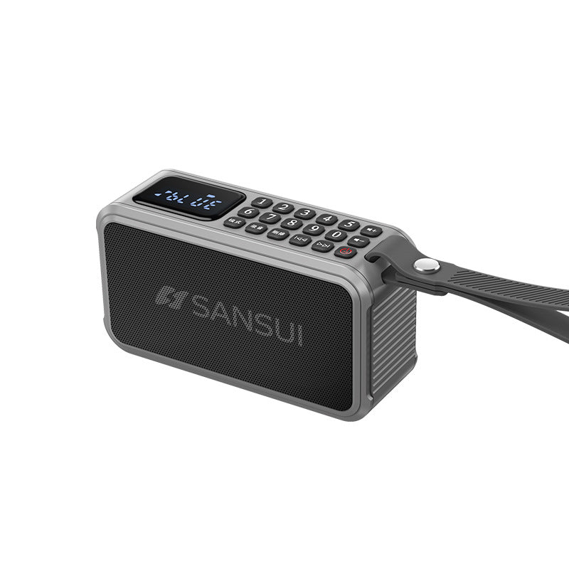Bluetooth portable audio