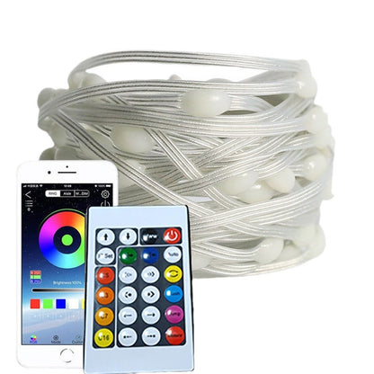 Bluetooth RGB LED String Lights
