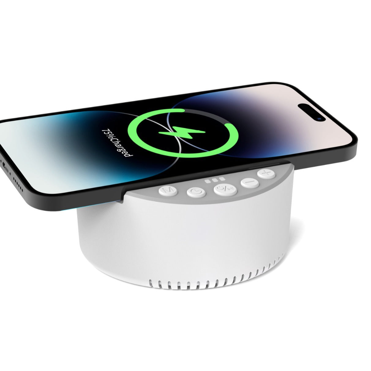 Bluetooth Speaker