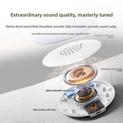 Bluetooth Speaker