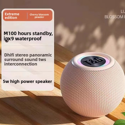 Bluetooth Speaker