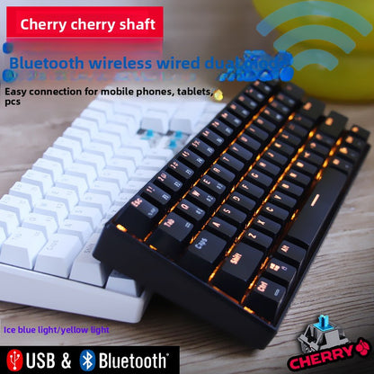 Bluetooth Wireless Mechanical Keyboard