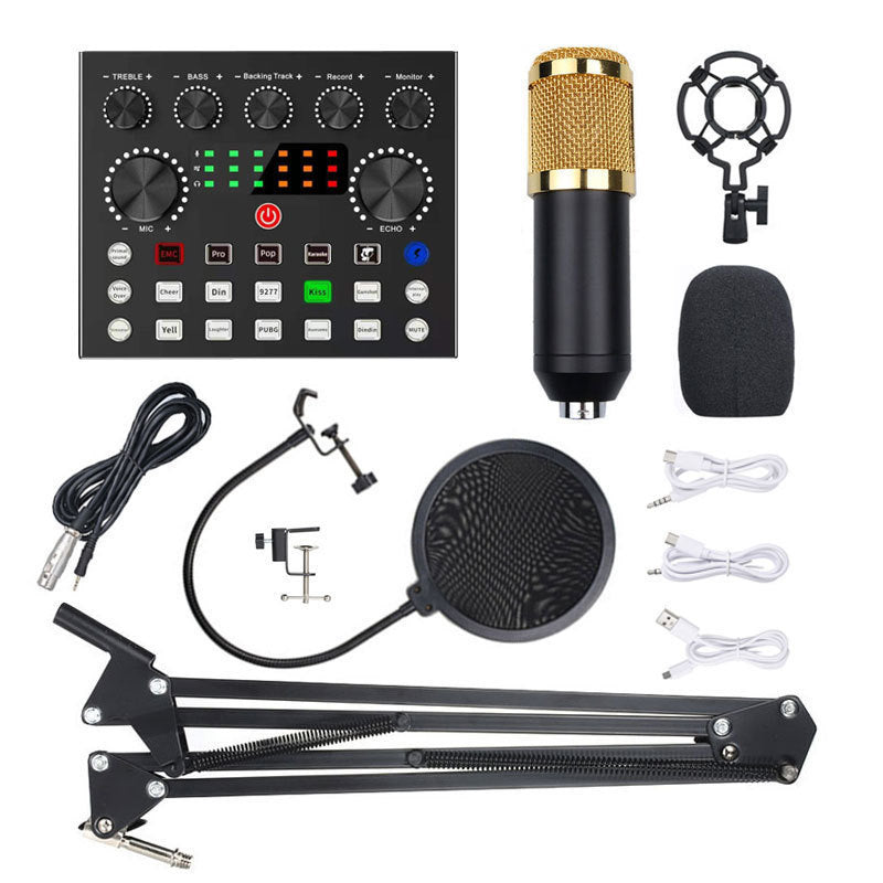 BM800 Condenser Microphone