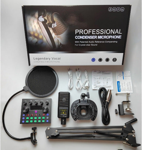 BM800 Condenser Microphone