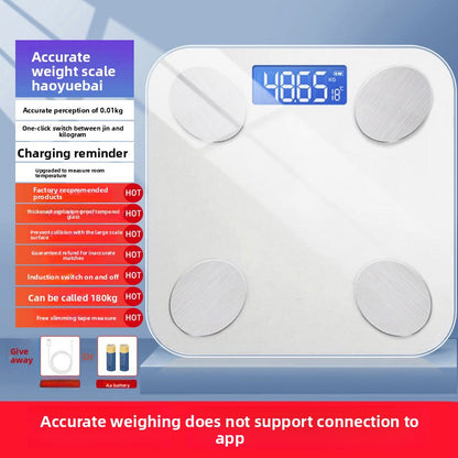 Body Fat Scale