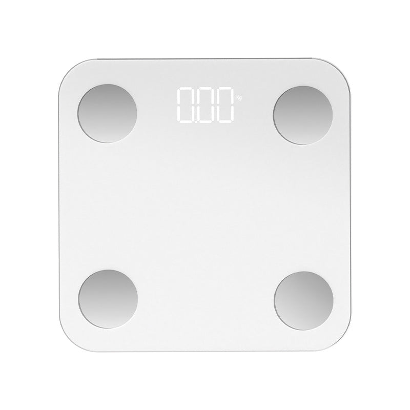 Body Fat Scale